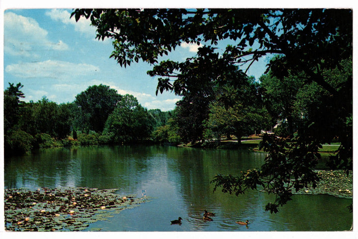 1967 Hopewell Junction, New York Vintage Postcard.