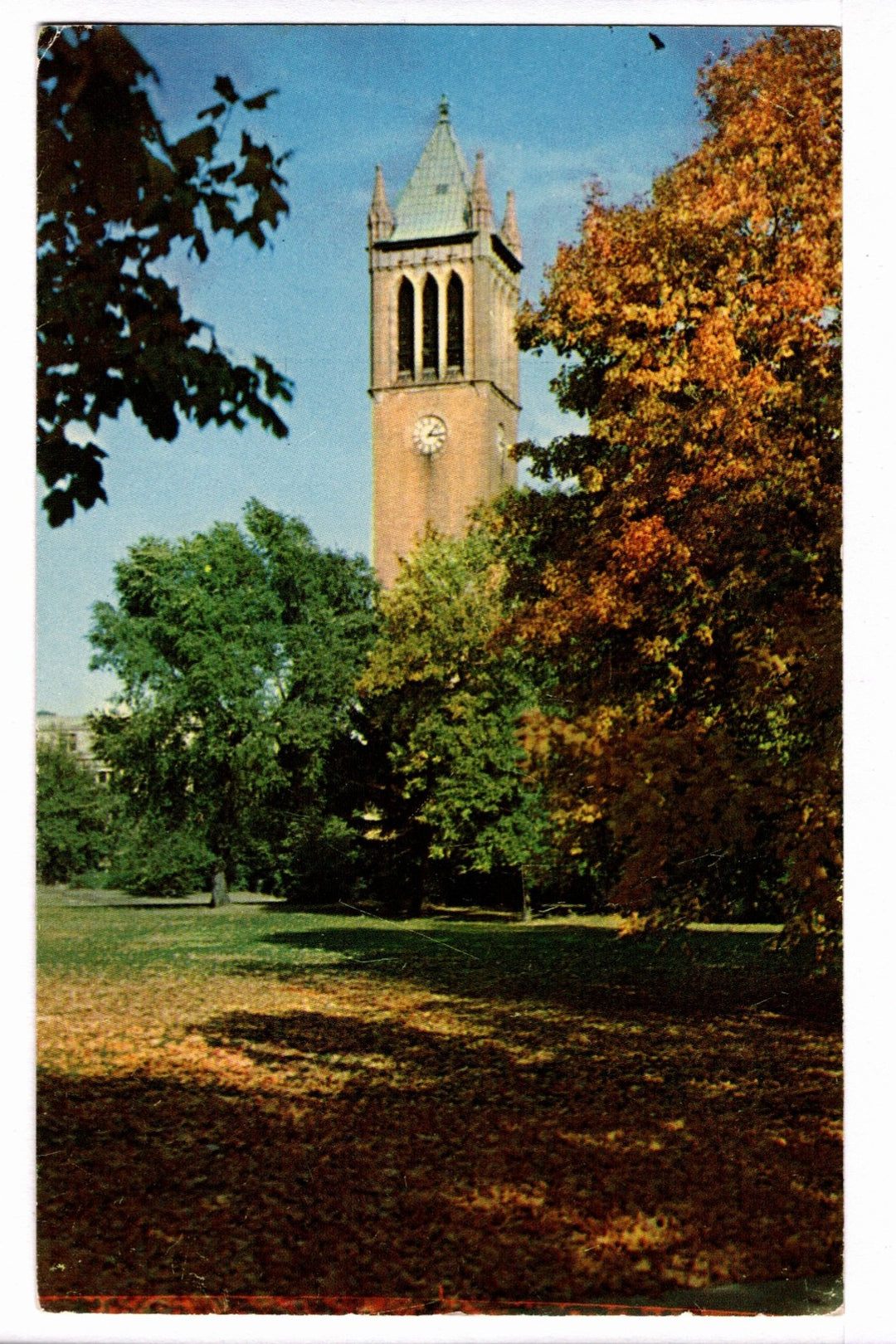 1950s The Campanile Iowa State University Ames Iowa Vintage Postcard.
