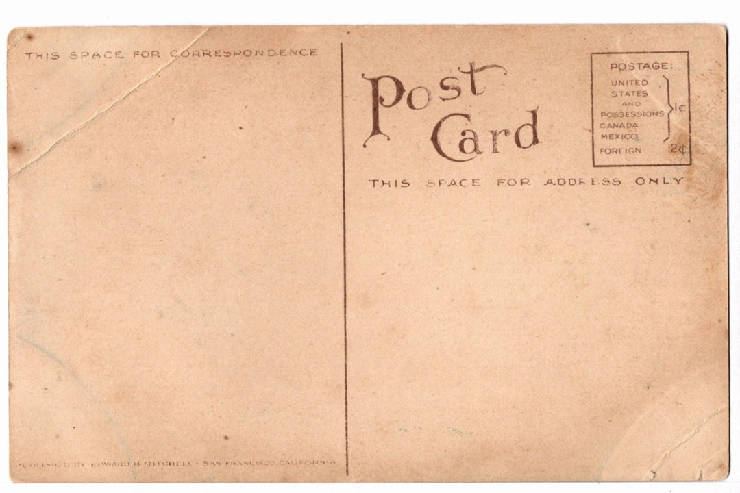 1910s U.S. Cavalry at Fallen Sequoia Vintage California Postcard, back.