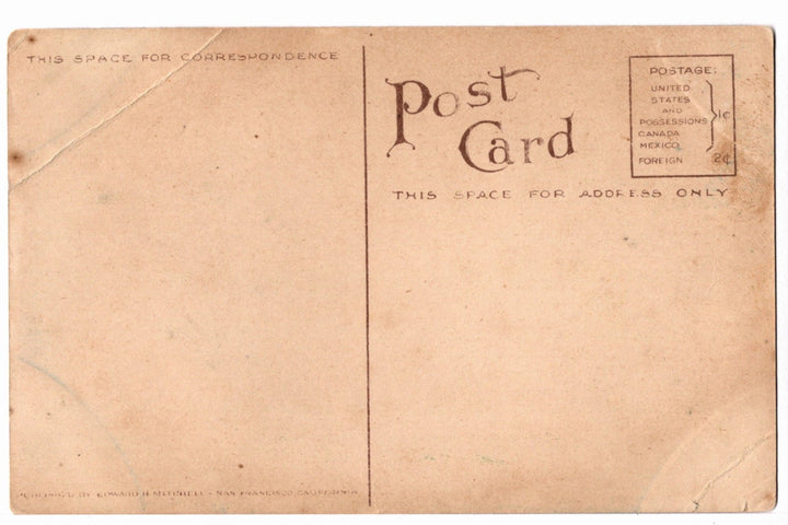 1910s U.S. Cavalry at Fallen Sequoia Vintage California Postcard, back.