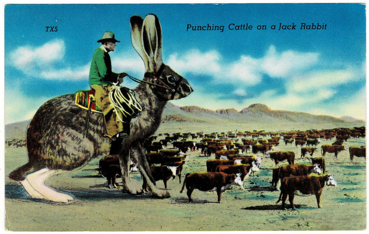 Vintage Postcard.