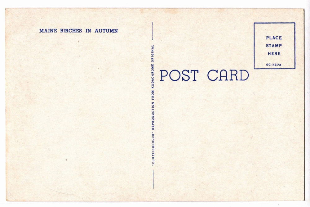1950s New England Fall Scene Vintage Maine Postcard, back.