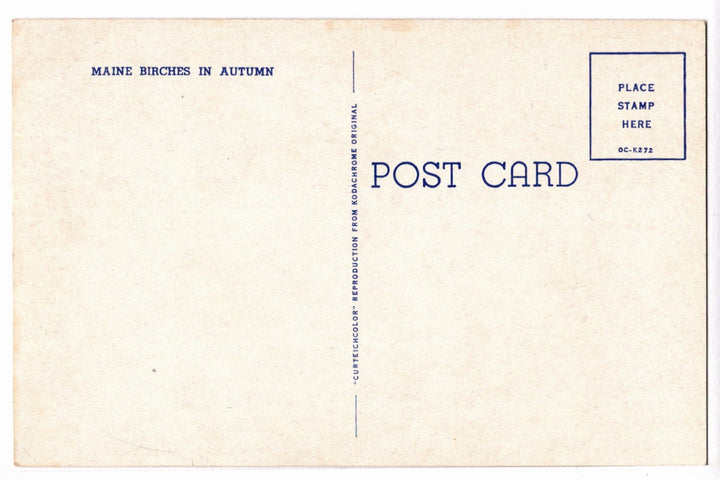 1950s New England Fall Scene Vintage Maine Postcard, back.