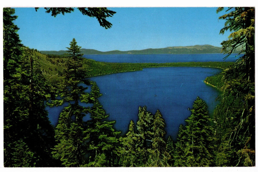 1950s Fallen Leaf and Tahoe’s Eternal Blue Vintage California Postcard.
