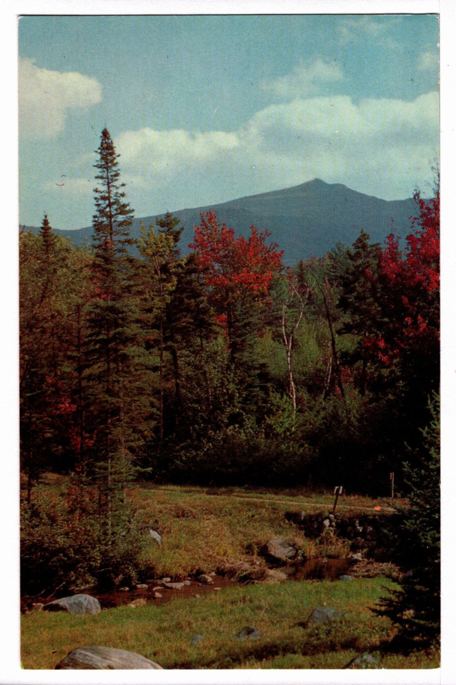 1950s Green Mountain, Autumn in Vermont Vintage Postcard.