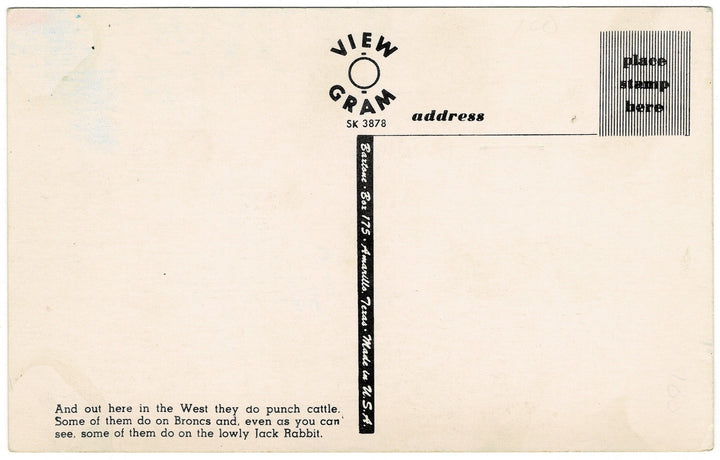 Vintage Postcard.