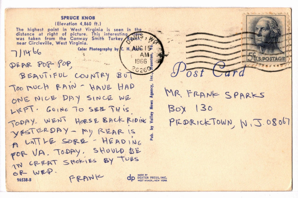 1960s Blue Ridge Mountain Turkey Farm Vintage Postcard West Virginia, back.