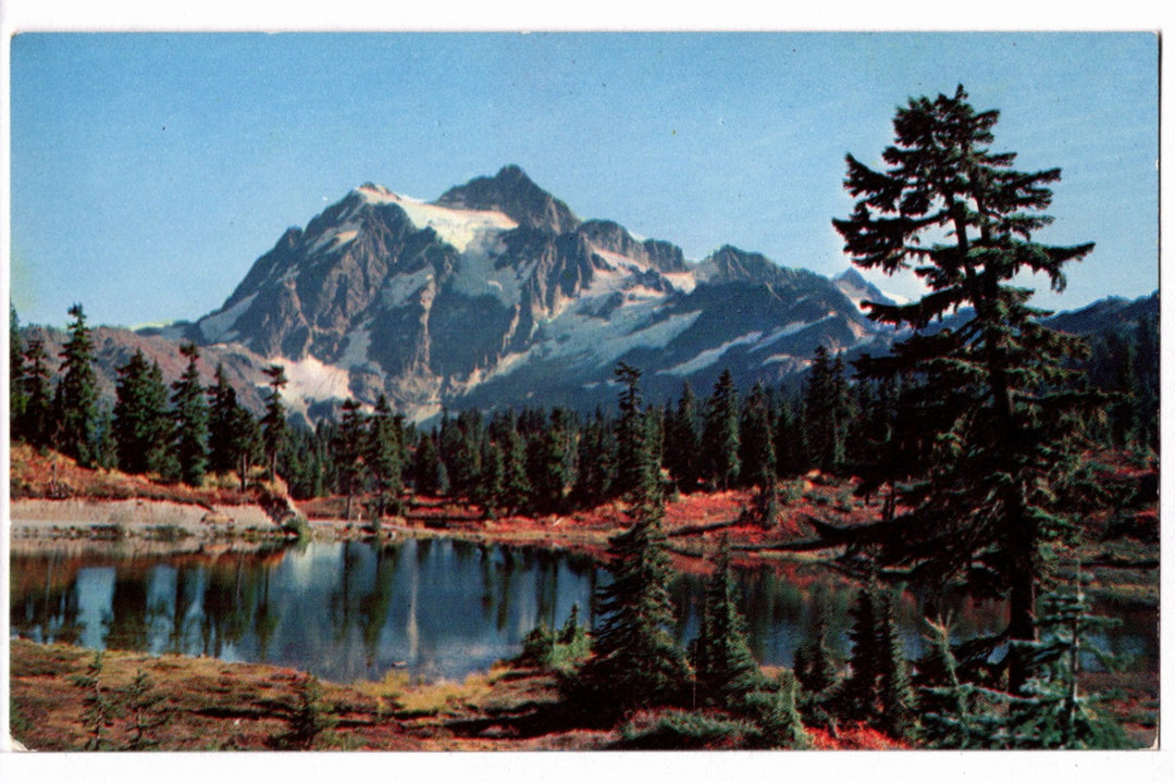 1950s Autumn in the High Cascades Washington Vintage Postcard.