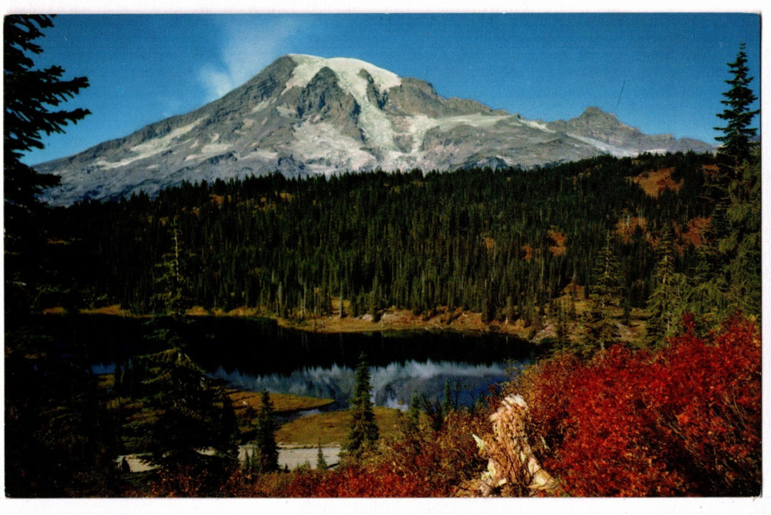 1950s Mount Rainier Morning Stillness in High Country Vintage Postcard.