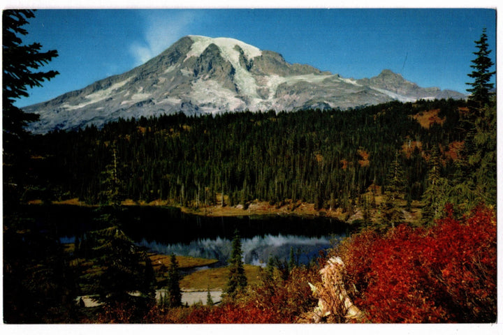 1950s Mount Rainier Morning Stillness in High Country Vintage Postcard.