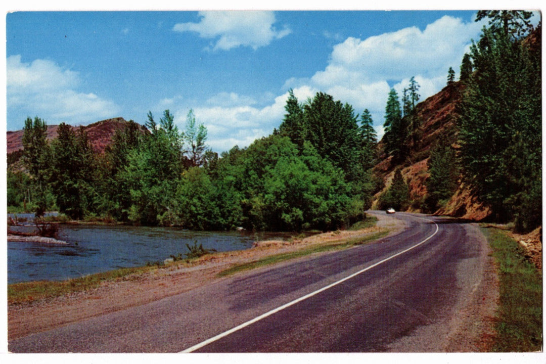 1950s Chinook Pass Hwy & American River Washington Vintage Postcard.