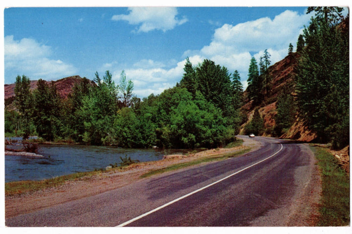 1950s Chinook Pass Hwy & American River Washington Vintage Postcard.