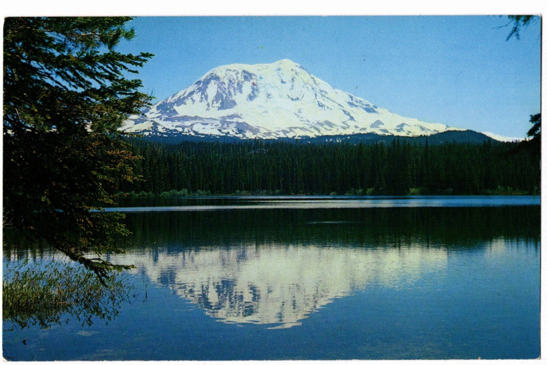 1950s Mirrored Mountain Majesty: Mt Adams WA Vintage Postcard.