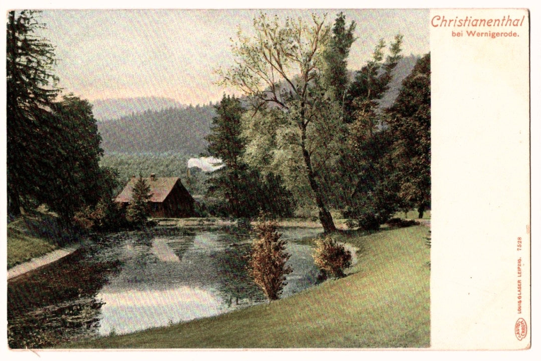1900s Forest Lake View Wernigerode Christianenthal Germany Vintage Postcard UDB.