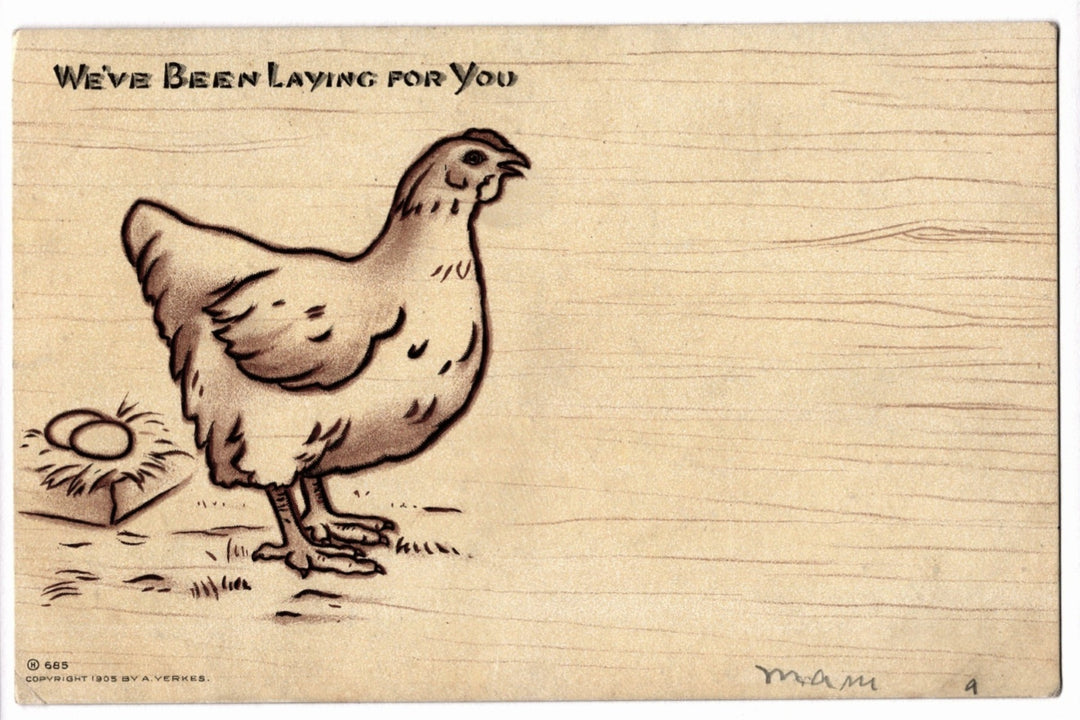 1905 We've Been Laying For You Humorous Chicken Vintage Postcard UDB.