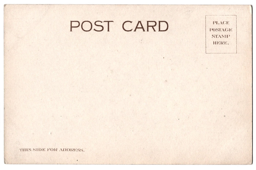 1905 We've Been Laying For You Humorous Chicken Vintage Postcard UDB.