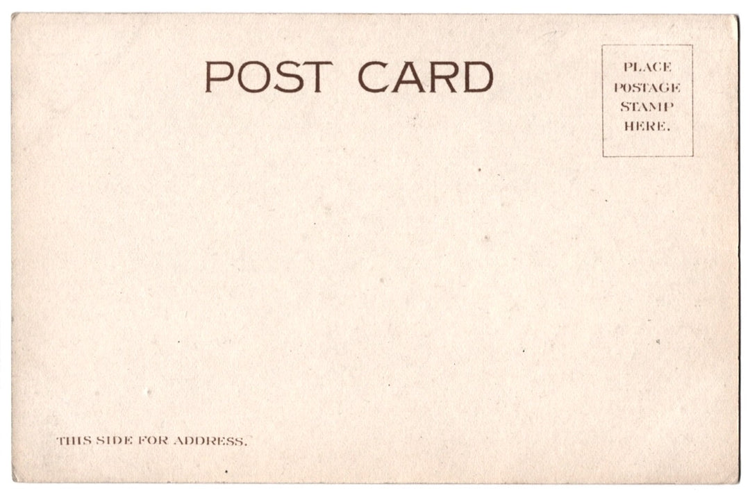 1905 We've Been Laying For You Humorous Chicken Vintage Postcard UDB.