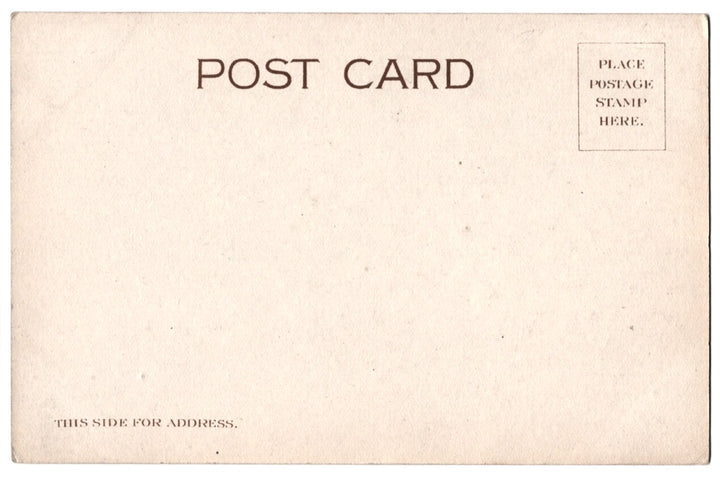 1905 We've Been Laying For You Humorous Chicken Vintage Postcard UDB.