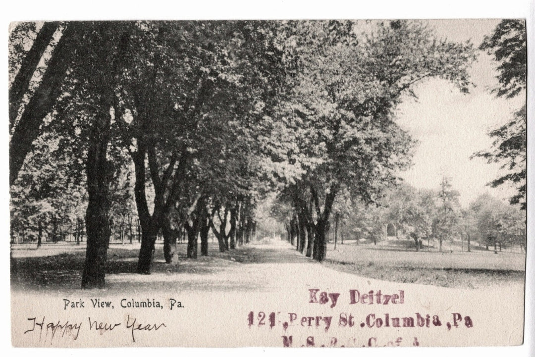 Vintage black and white photo of a tree-lined path with text on a postcard.