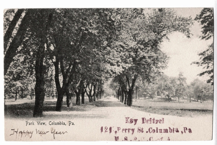 Vintage black and white photo of a tree-lined path with text on a postcard.