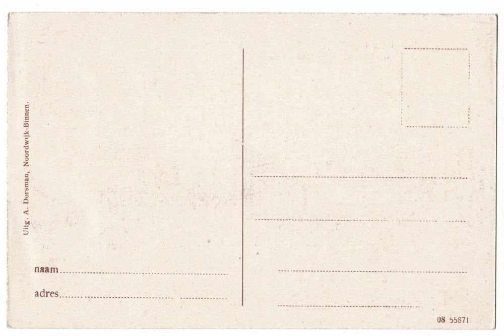 Back of a postcard with address lines.