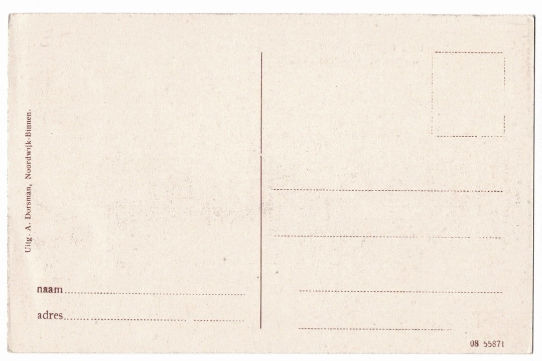 Back of a postcard with address lines.