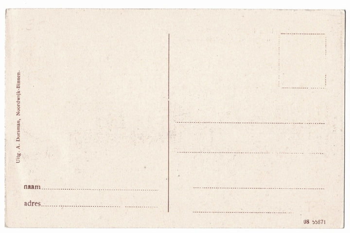 Back of a postcard with address lines.