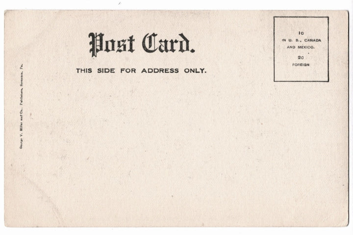 Undivided back uncirculated Vintage postcard with text for address.