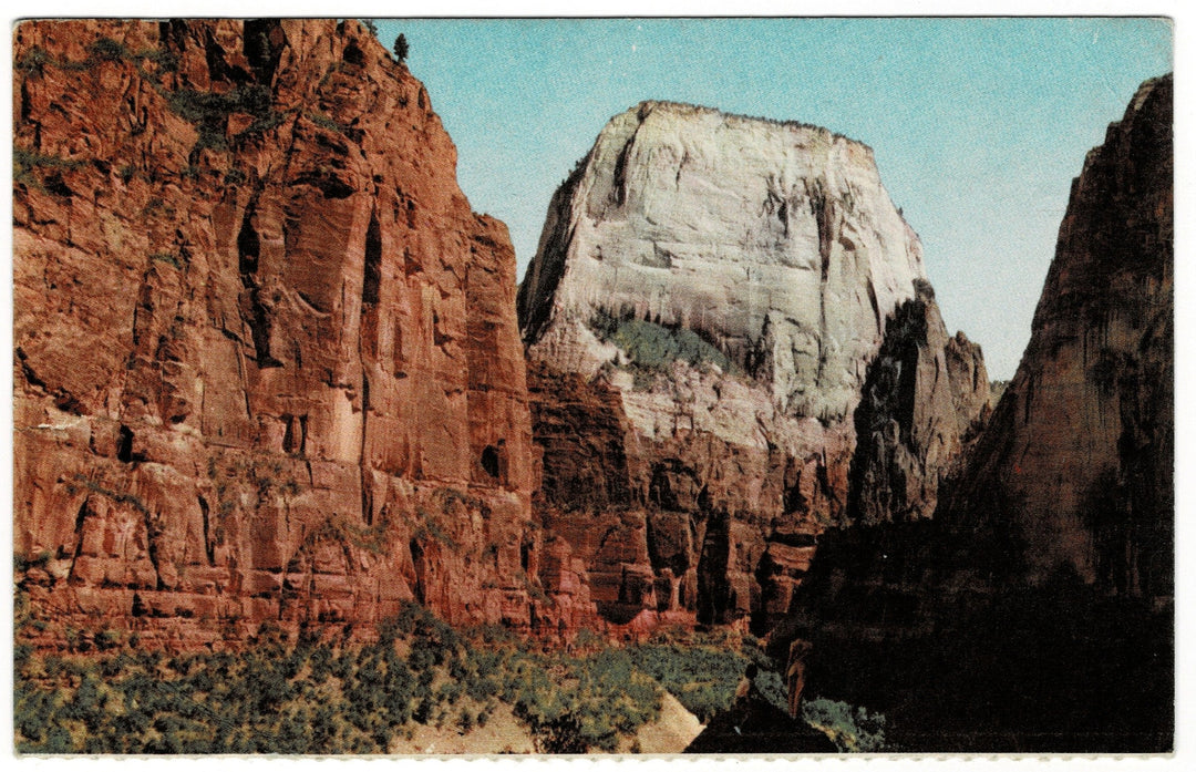 1940s Great White Throne Zion National Park Utah Vintage Postcard.