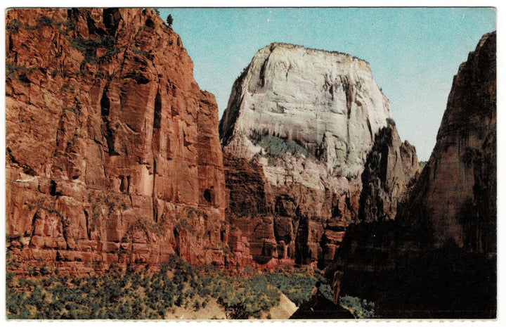 1940s Great White Throne Zion National Park Utah Vintage Postcard.