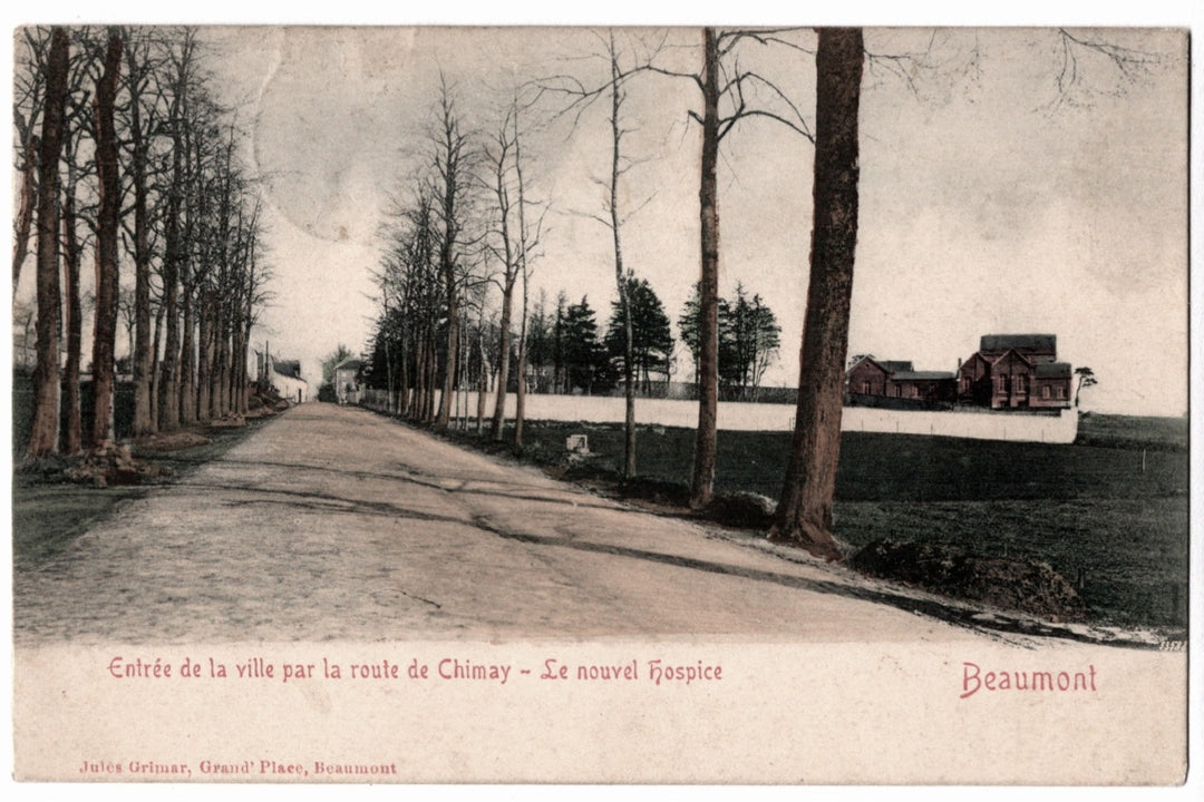 Vintage postcard of a street scene with trees and buildings in the distance, labeled 'Beaumont' - 1906 Entrance to Beaumont New Hospital Vintage Postcard.