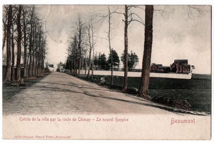 Vintage postcard of a street scene with trees and buildings in the distance, labeled 'Beaumont' - 1906 Entrance to Beaumont New Hospital Vintage Postcard.