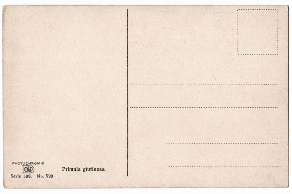 back of postcard.