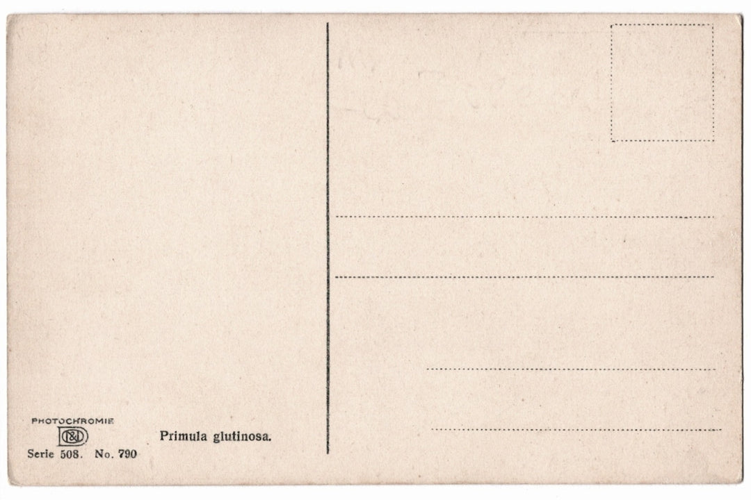 back of postcard.