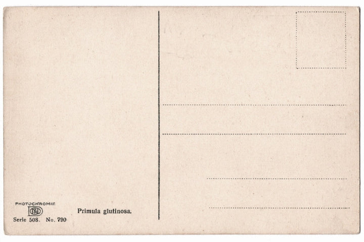 back of postcard.