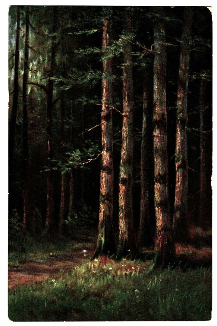 Fine Art Forest Landscape Stehli Freres 1919.