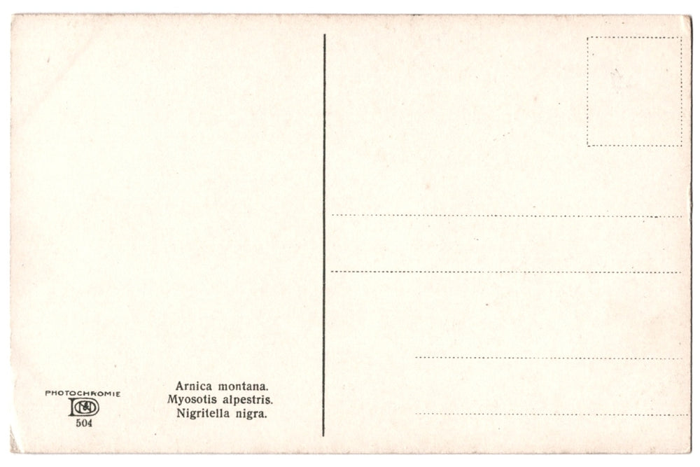 Back of a vintage postcard.