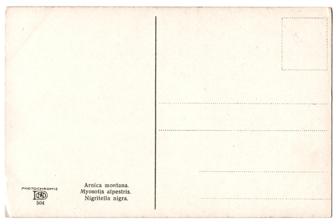 Back of a vintage postcard.