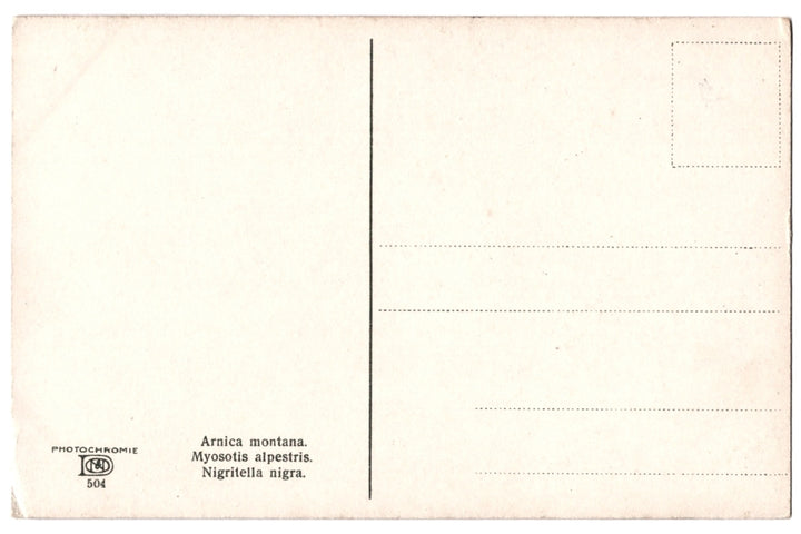 Back of a vintage postcard.