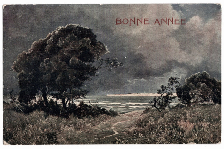 1910s Moody Coastal Landscape Bonne Annee Vintage Postcard.