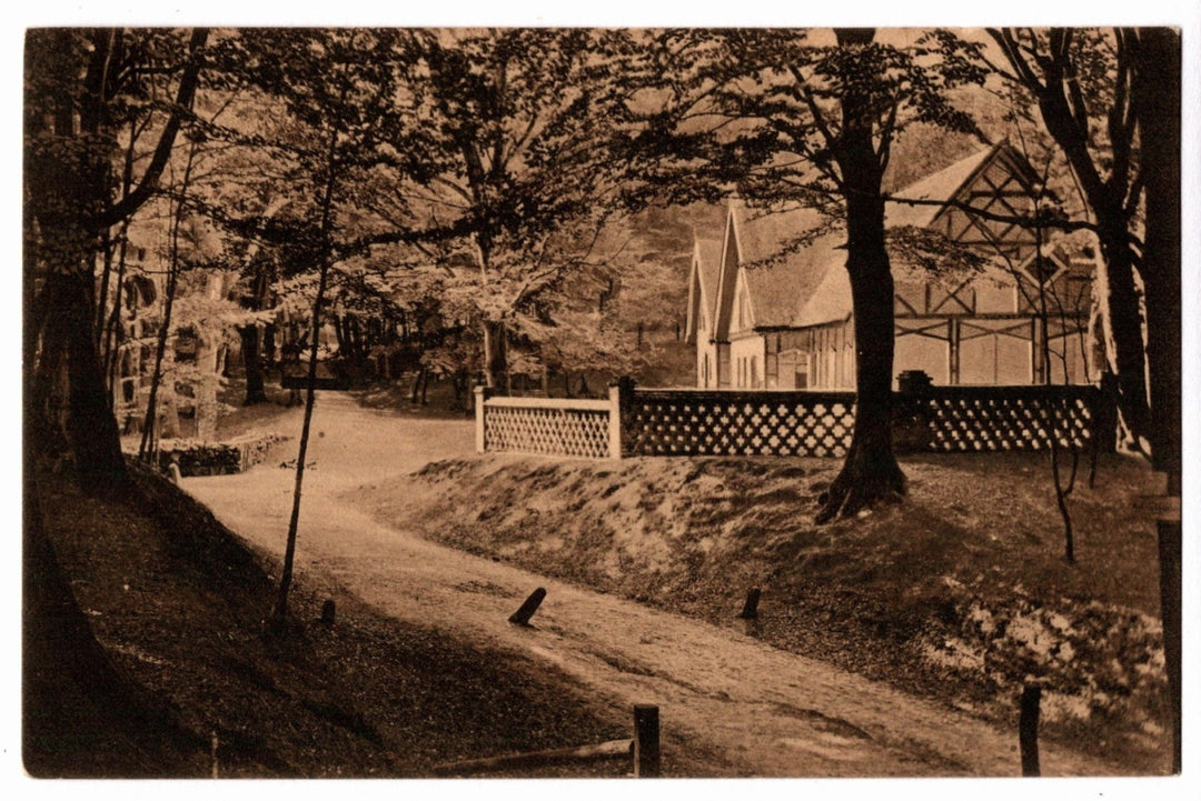 Sepia-toned photograph of 1904 Rugen Island Germany Forest Path Vintage Postcard.