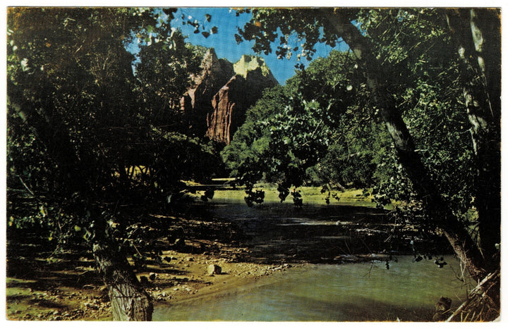 Virgin River Utah National Park Vintage Postcard.