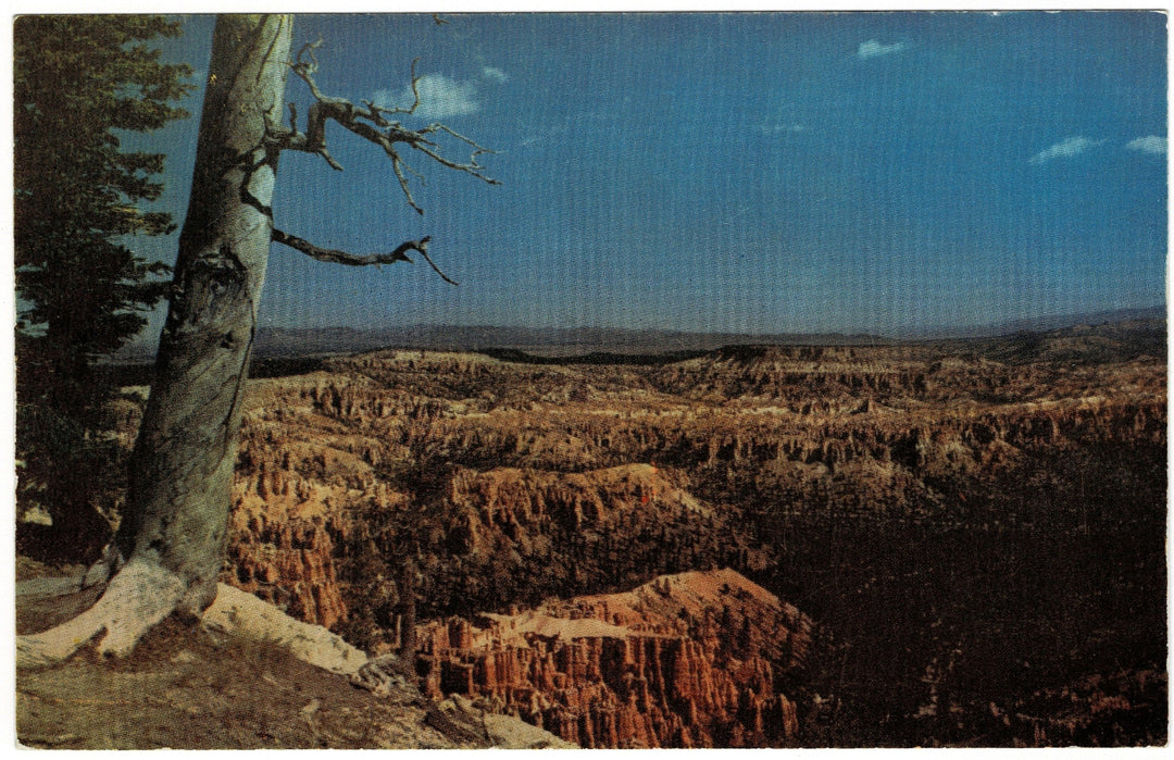 1950s Panoramic View Bryce Canyon Utah Vintage Postcard.