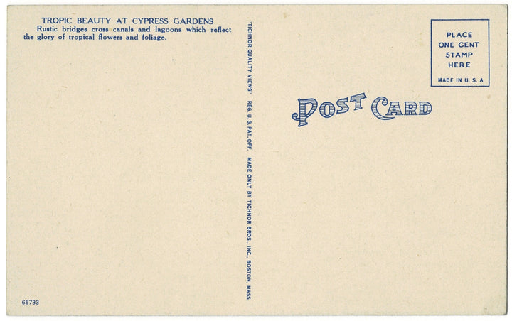 Florida Vintage Postcard.