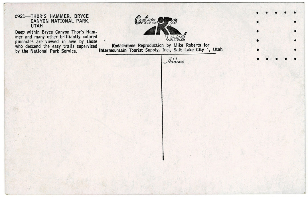Vintage Postcard.