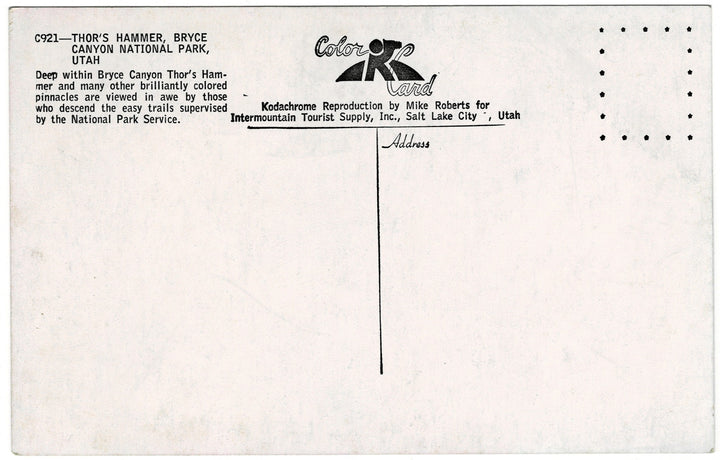 Vintage Postcard.