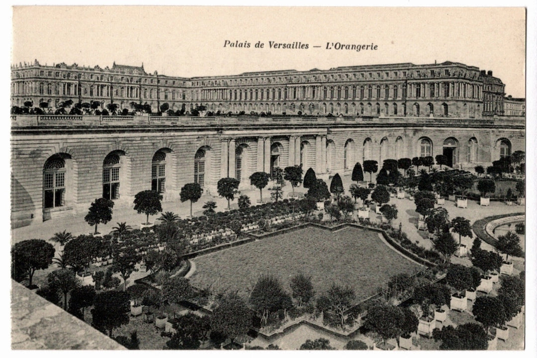 1907 Versailles Orangerie France Vintage Postcard.