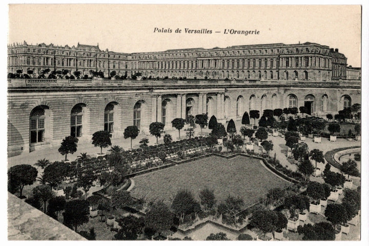 1907 Versailles Orangerie France Vintage Postcard.