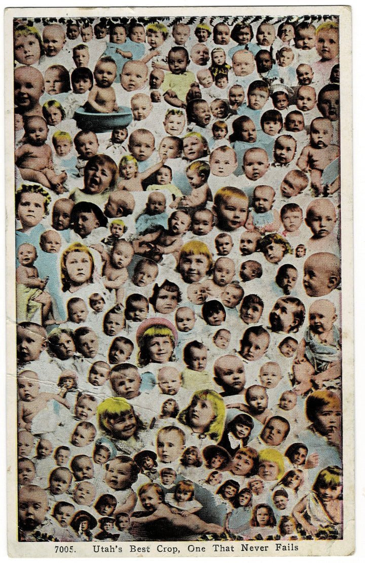  Vintage Postcard.