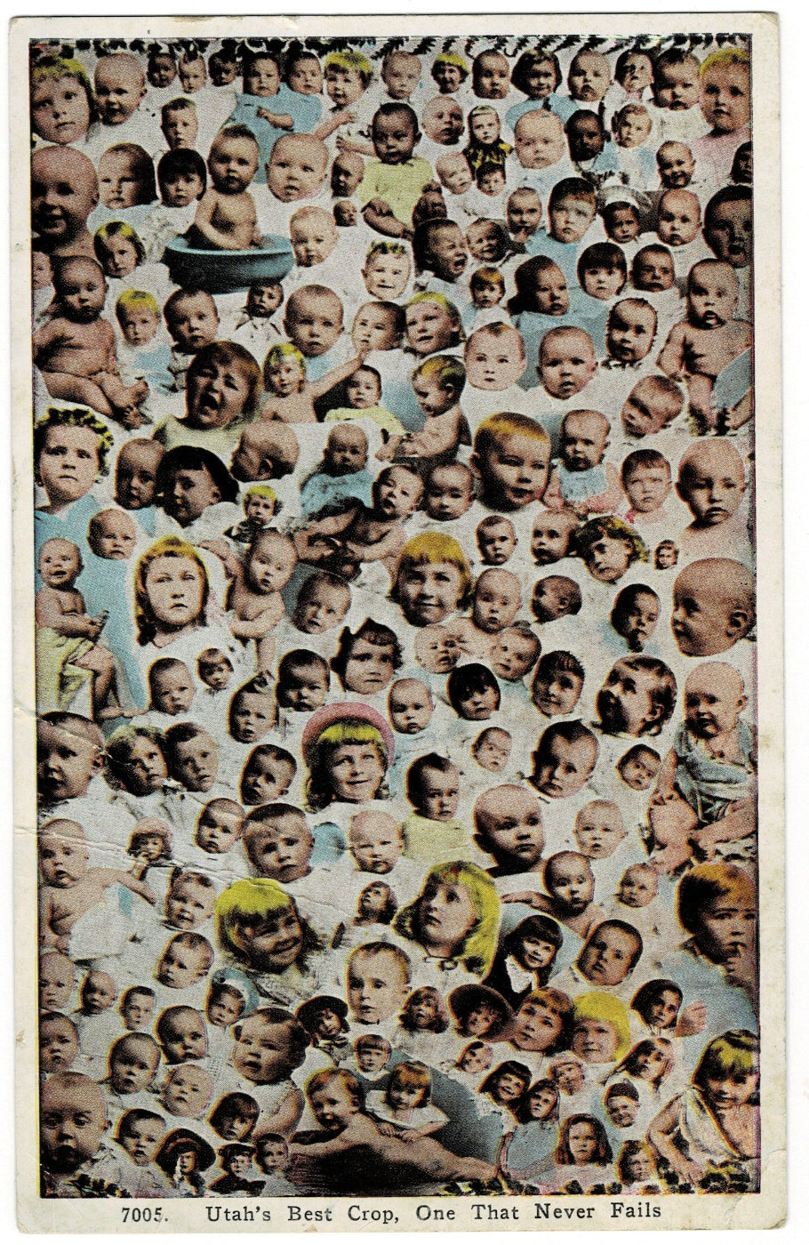  Vintage Postcard.